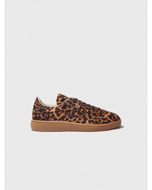 Maje Brown Leather Trainers