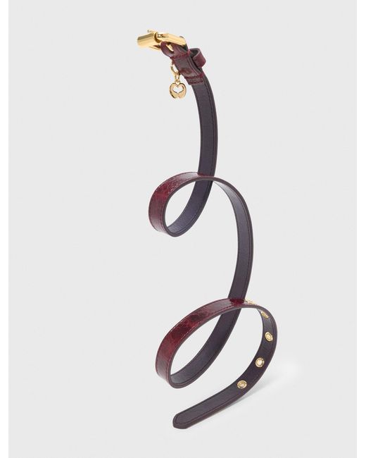 Maje Red Slim Leather Belt With Eyelets