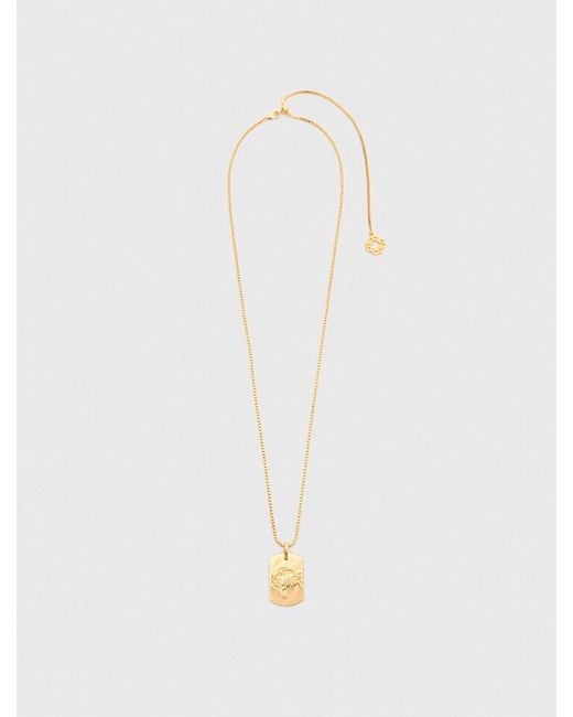 Maje White Zodiac Sign Plaque Necklace
