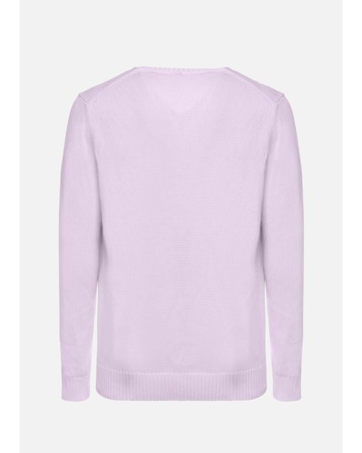 Malo Purple Cotton V-Neck Sweater for men