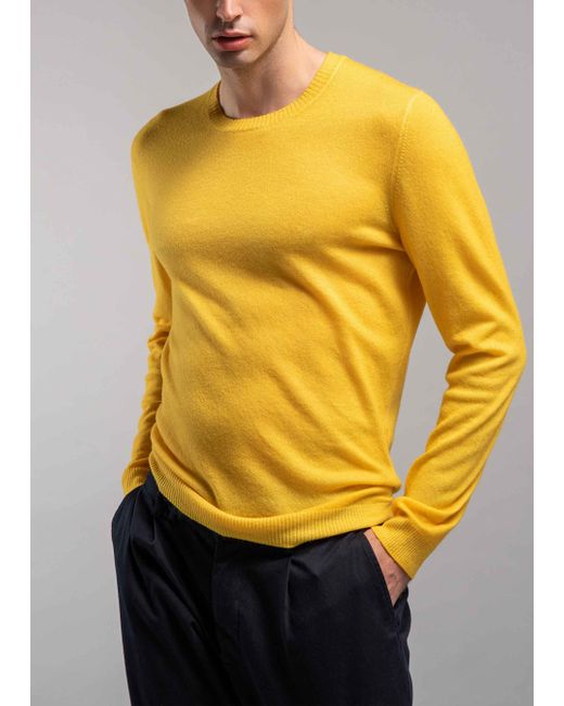 Malo Yellow Cashmere Crewneck Sweater for men