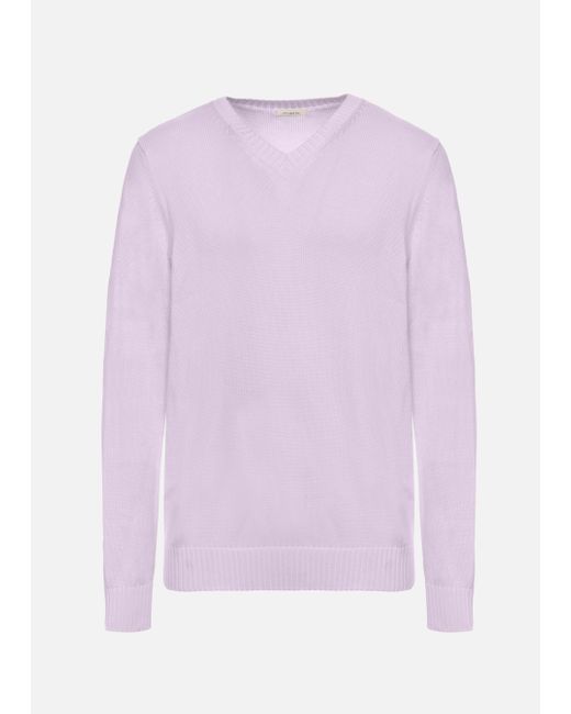 Malo Purple Cotton V-Neck Sweater for men