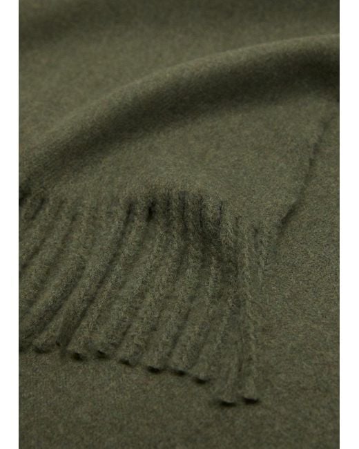 Mango Green Fringed Edge Scarf