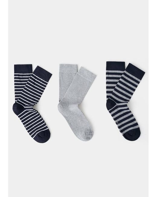 Mango Blue 3 Pack Mixed Socks for men