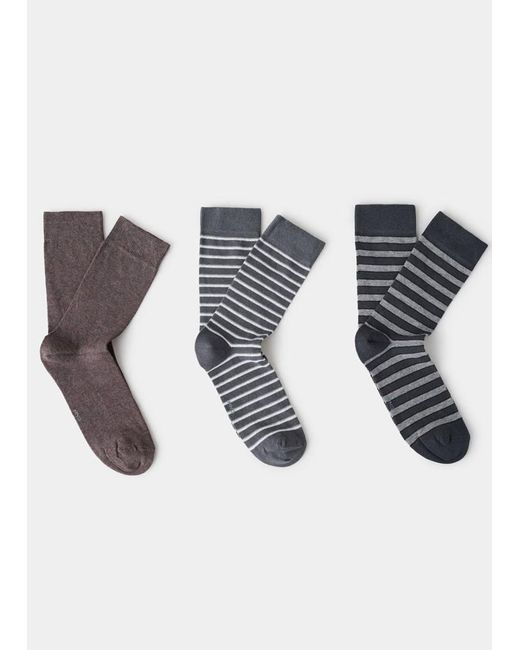 Mango Brown 3 Pack Mixed Socks for men