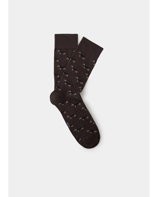 Mango Black Dog-Print Cotton Socks for men