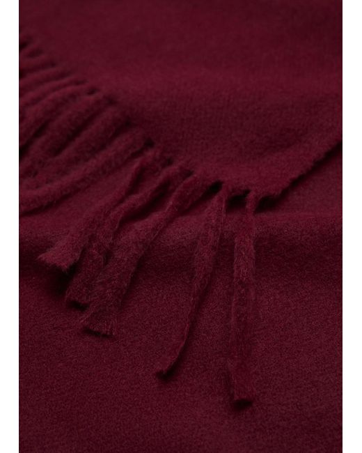 Mango Purple Fringed Edge Scarf