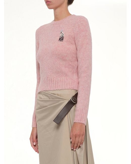 Loewe Pink Louis Wain Sweater