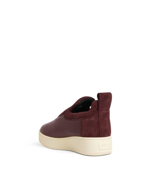 Céline Purple Pull On Patch Sneaker