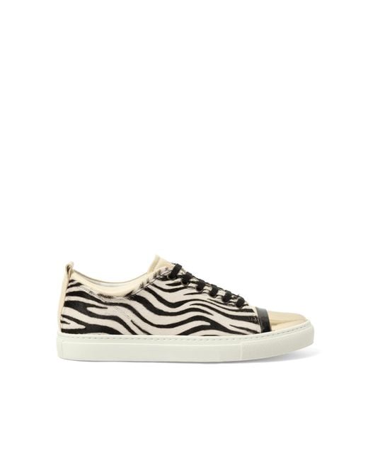 Lanvin Black Sneaker