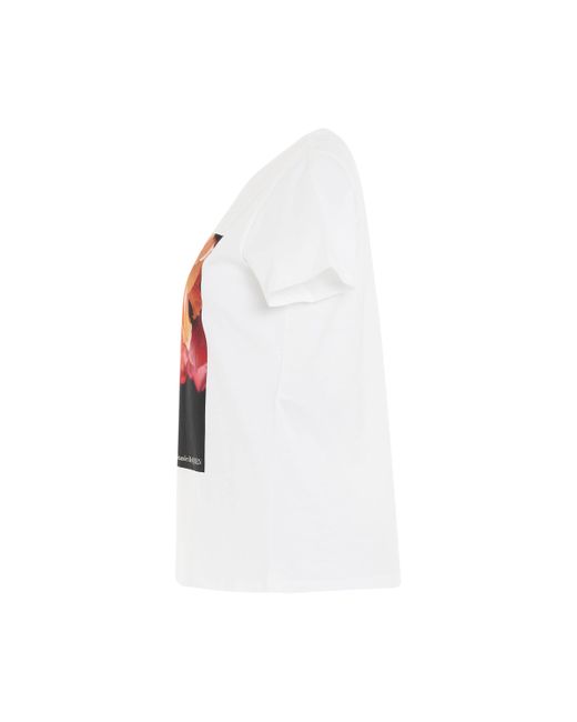 Alexander McQueen White Exploded Petal Print T-Shirt, Round Neck, Short Sleeves, , 100% Cotton