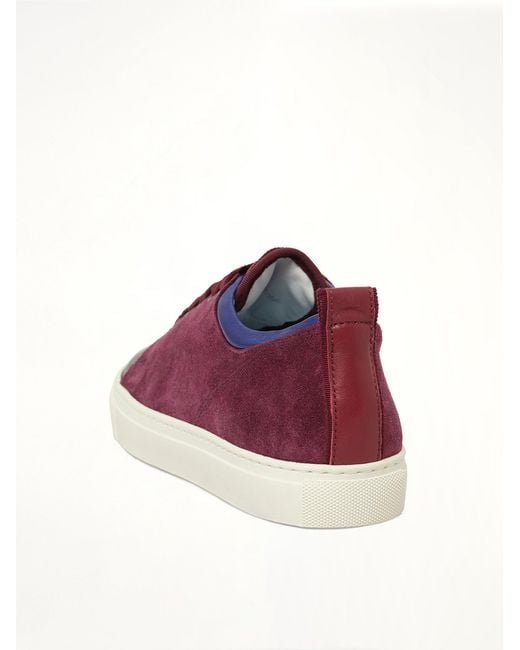 Lanvin Purple Low Sneaker