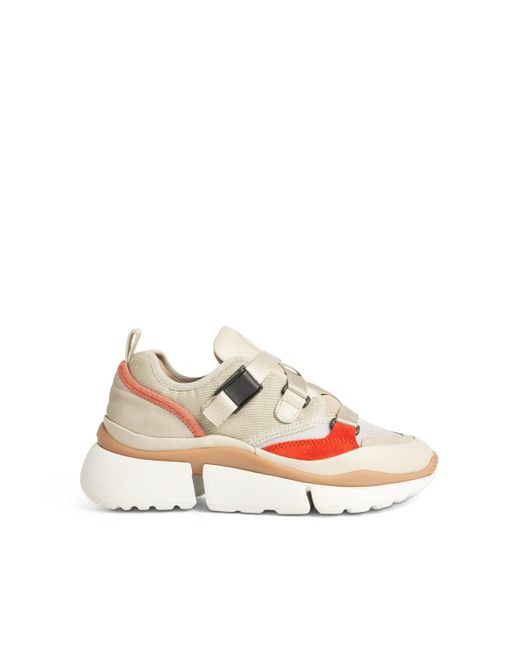 Sonnie Sneakers 100 Calfskin