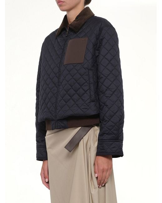 Loewe Blue Short Padded Jacket