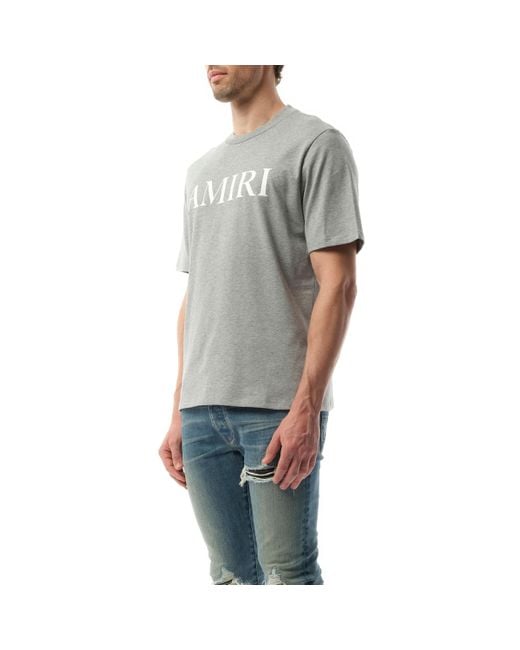 Amiri Gray Core Logo T-Shirt, 100% Cotton, Size: Medium for men