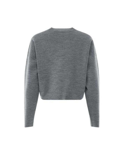 Loewe Gray 'Short Anagram Sweater, Round Neck, Light, 100% Wool, Size: Small