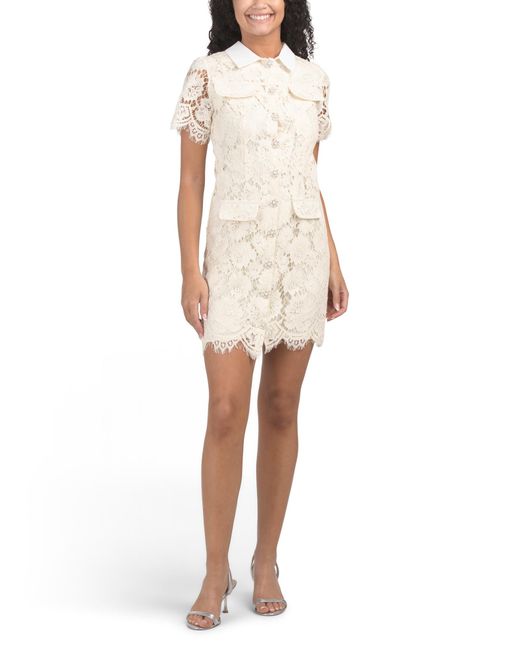 Marshalls Women's White Short Sleeve Lace Mini Dress With Contrast Collar  For - coffeafoods.com