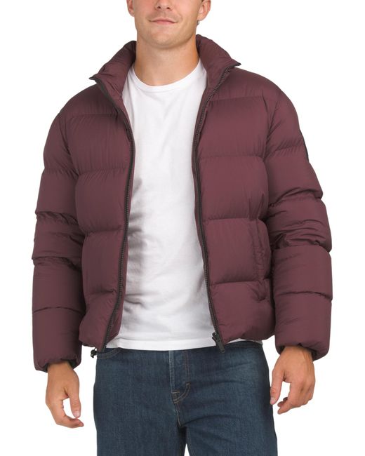 MARSHALLS Purple Kings Puffer Jacket For for men