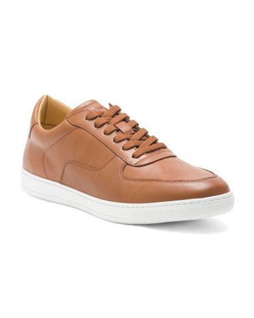 Marshalls Leather Martello Dress Sneakers For in Brown for Men | Lyst