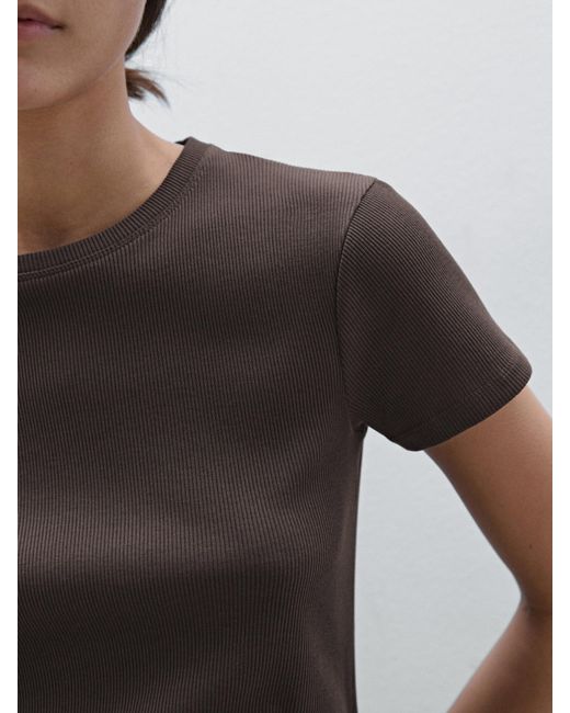 Maglietta A Coste A Maniche Corte 100% Cotone di MASSIMO DUTTI in Brown