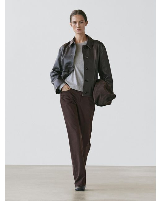 Pantalon Bootcut MASSIMO DUTTI en coloris Multicolor