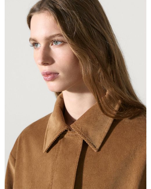 Chaqueta Pana Bomber Algodón MASSIMO DUTTI de color Brown