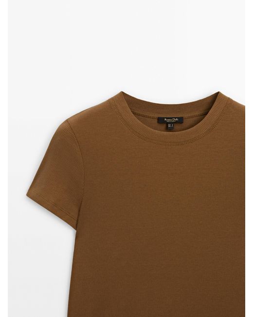MASSIMO DUTTI Brown Fitted Ribbed Crew Neck T-Shirt