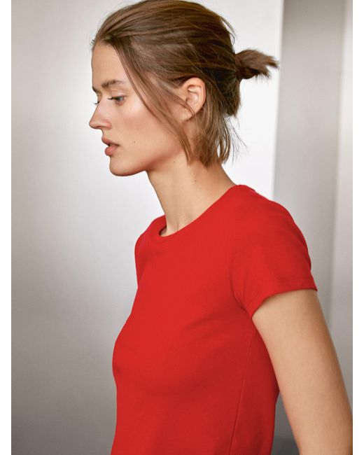 Maglietta A Maniche Corte di MASSIMO DUTTI in Red