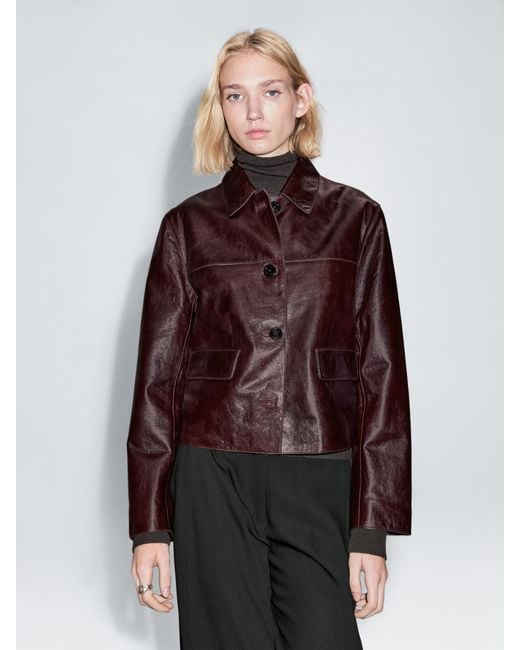 Giacca Corta di MASSIMO DUTTI in Multicolor
