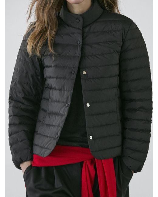 MASSIMO DUTTI Black Quilted 80% Down, 20% Feather Jacket