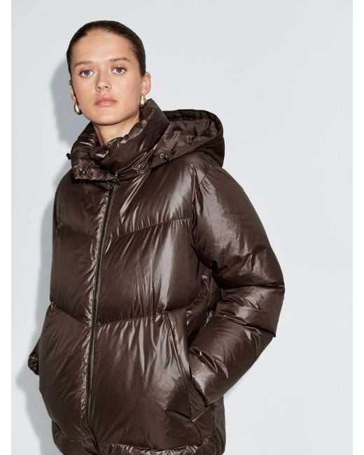 Giacca Imbottita Con Cappuccio Rimovibile Water Repellent di MASSIMO DUTTI in Brown