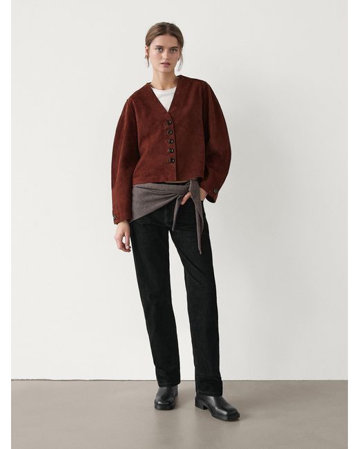 Giacca Corta di MASSIMO DUTTI in Multicolor