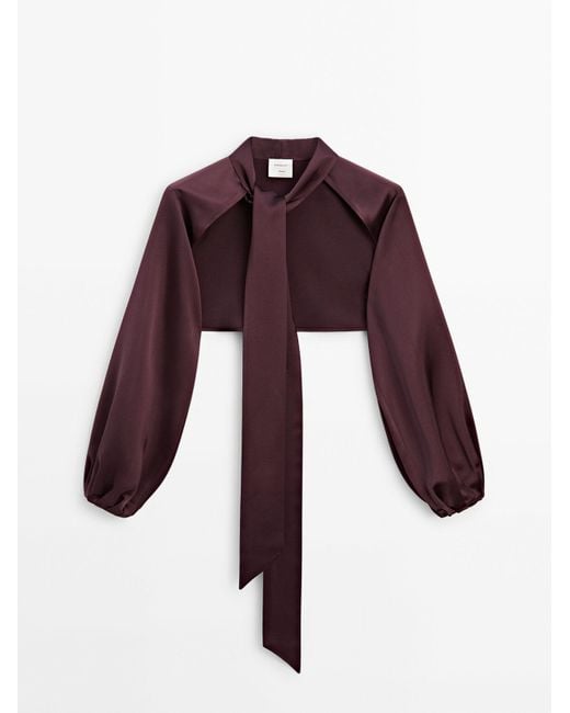MASSIMO DUTTI Purple Satin Cape With Sleeves And Tie Detail