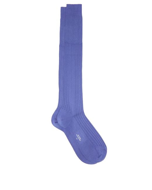 Charvet Purple Long Ribbed Cotton Socks for men