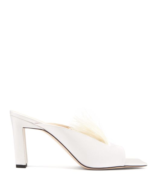 wandler isa mules