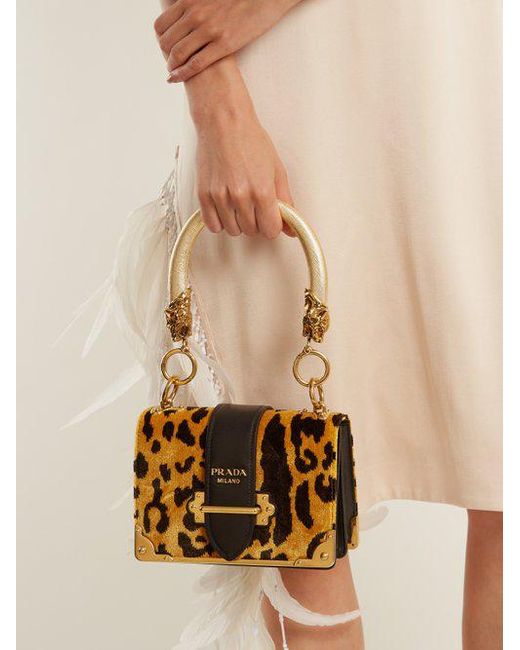 Prada tiger bag Clearance