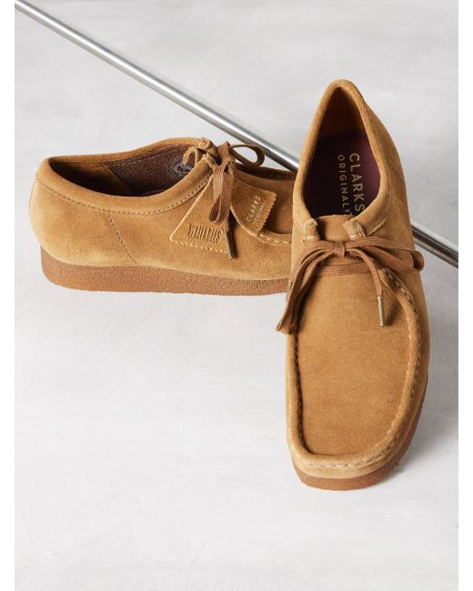 Clarks desert on sale wallabee