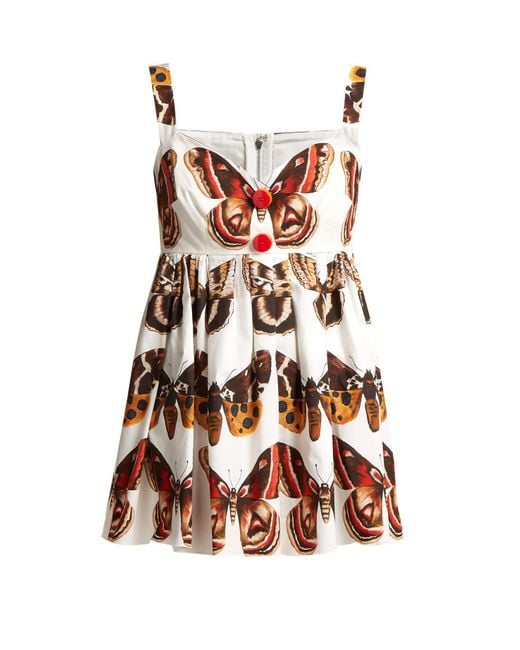 Dolce Gabbana Butterfly Print Cotton Top in Brown Lyst