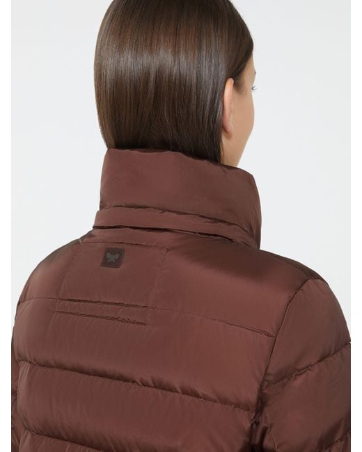 Max Mara Brown Max Mara Woman