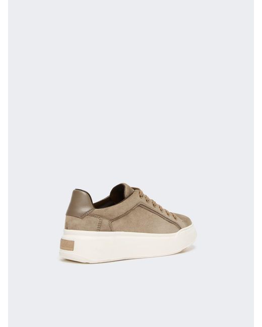 Max Mara White Suede Sneakers
