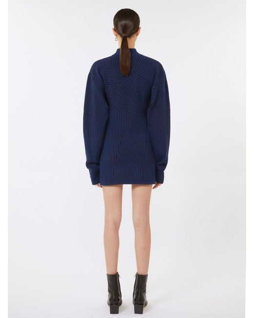 Max Mara Blue Max Mara Woman