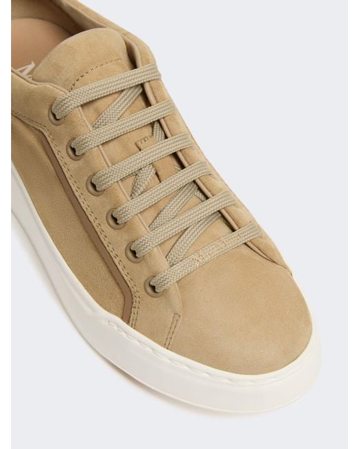 Max Mara White Suede Sneakers