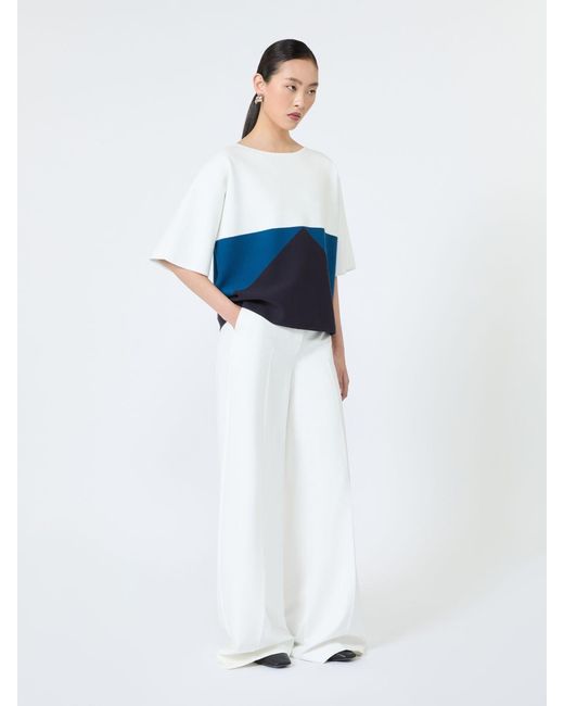Pull Doux En Viscose Stretch Max Mara en coloris Blue