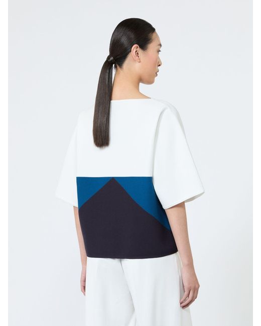 Pull Doux En Viscose Stretch Max Mara en coloris Blue