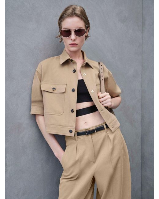 Max Mara Brown Square Sunglasses