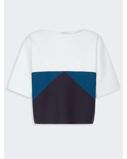 Pull Doux En Viscose Stretch Max Mara en coloris Blue