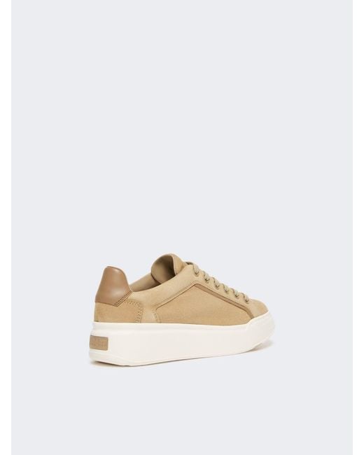 Max Mara White Suede Sneakers