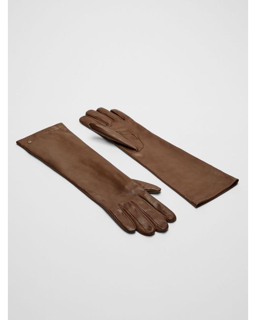 Max Mara Brown Long Nappa Leather Gloves