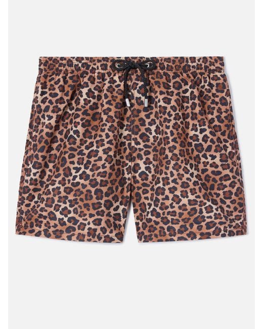 Mc2 Saint Barth Multicolor Gustavia Swim Shorts With Leopard Print __Single__ Swimshort for men