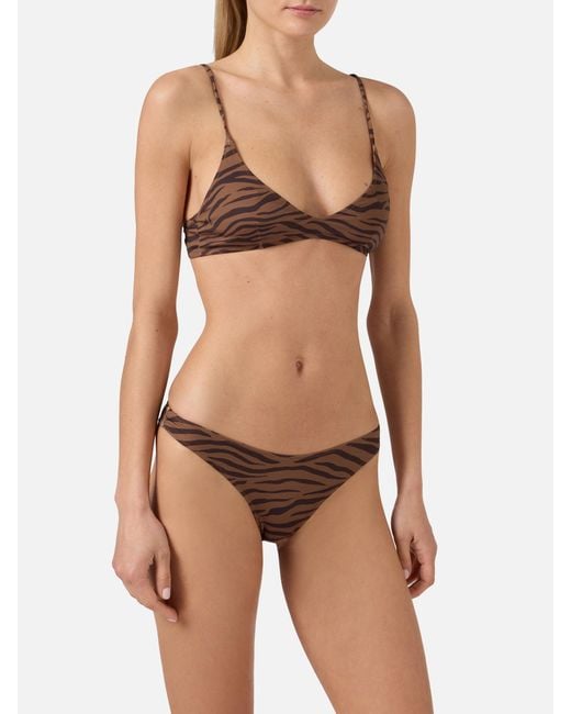 Mc2 Saint Barth Multicolor Bikini Panamy Bralette With All-Over Zebra Print